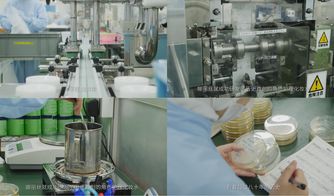 櫻花約定，匠心傳承 日本娜麗絲衛(wèi)生用品的前世今生