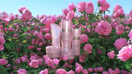 玫瑰之韻 三維場景中的創(chuàng)新化妝品與衛(wèi)生用品設計
