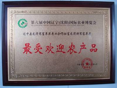 服務(wù)一條龍，無(wú)憂(yōu)一整年 農(nóng)業(yè)生產(chǎn)全程擁抱“專(zhuān)業(yè)化”運(yùn)營(yíng)商機(jī)